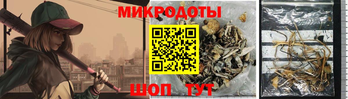 Кызыл  Псилоцибиновые грибы Psilocybe  Вход с VPN  Галлюциногенные грибы прущие грибы 